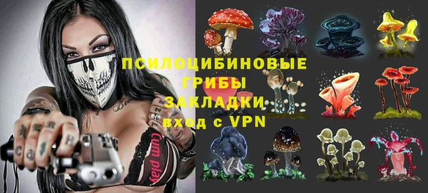 гидра Аркадак