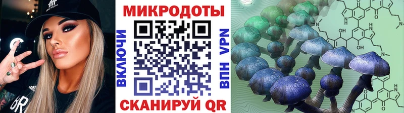 Галлюциногенные грибы прущие грибы  Волхов 